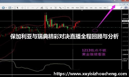 保加利亚与瑞典精彩对决直播全程回顾与分析